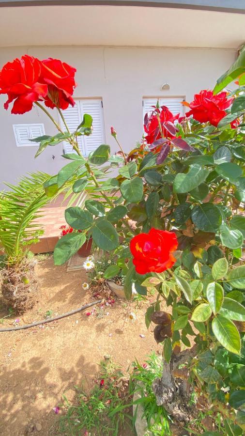 הוילה קיסאמוס Maria & Zachos House מראה חיצוני תמונה